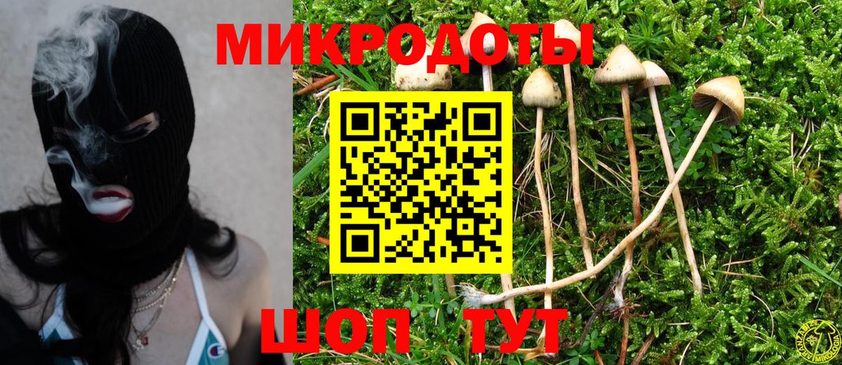 Галлюциногенные грибы мицелий Магадан