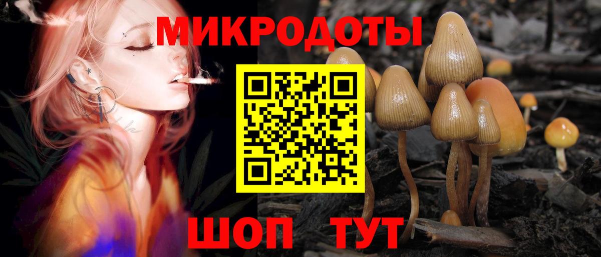 Магадан  Галлюциногенные грибы ЛСД  Вход с VPN  Псилоцибиновые грибы прущие грибы 